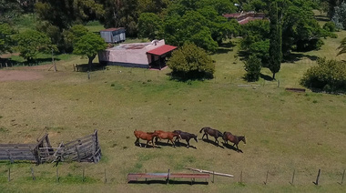 Estancias: Bolívar Y Exaltación de la Cruz, dos lugares inolvidables