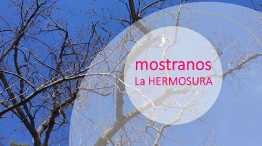 Concurso de fotografía barrial "Mostranos La Hermosura"