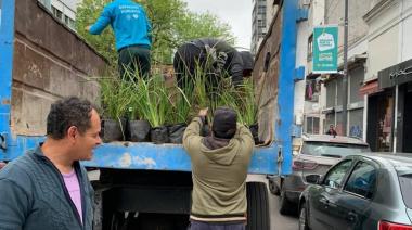 La Plata: la Cámara Comercial del Centro está cada vez mas linda