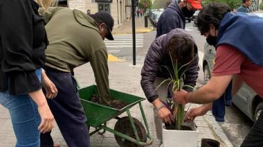 La Plata: la Cámara Comercial del Centro está cada vez mas linda