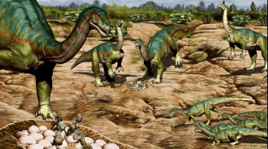 Obtienen el primer registro de comportamiento social complejo en una especie primitiva de dinosaurio
