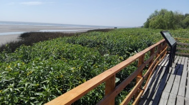 Avellaneda: combina experiencias urbanas y de naturaleza