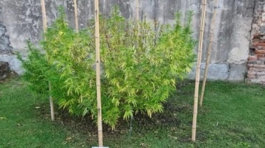 Berisso: detenidos por vender drogas desde su domicilio