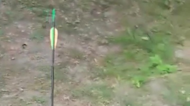 Rescataron un perro callejero que tenía atravesada de lado a lado una flecha