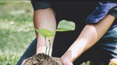 La ciudad lanza un plan de forestación local