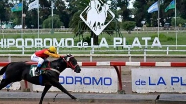 Un jockey fue arrollado por su caballo y está grave
