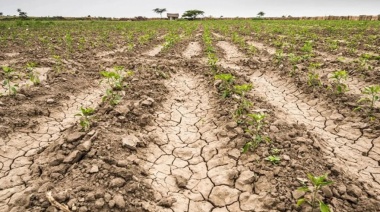 Ya son 67 los municipios bonaerenses incluidos en la emergencia agropecuaria