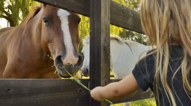 Escapadas Bonaerenses: Tres destinos rurales para descubrir en Semana Santa
