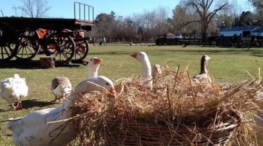 Escapadas Bonaerenses: Tres destinos rurales para descubrir en Semana Santa