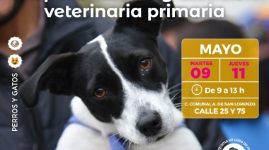 La vacunación antirrábica llegará esta semana a City Bell y Altos de San Lorenzo