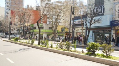 La Plata: Plantaron 90 tilos y 400 dietes en Avenida 7