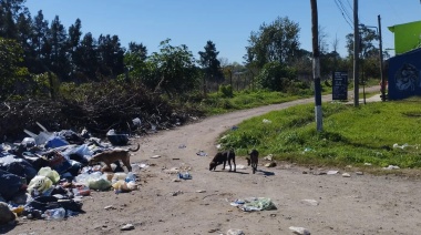Reclamos en aumento: ESUR bajo la lupa por la proliferación de basurales en la ciudad
