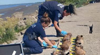 Encuentran 17 cráneos humanos en la ribera y abren una investigación