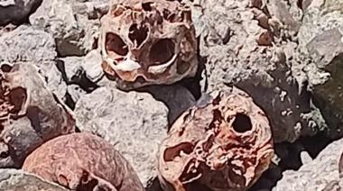 Encuentran 17 cráneos humanos en la ribera y abren una investigación