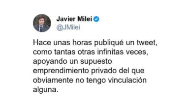 Milei y la criptomoneda: ¿irresponsabilidad presidencial o delito?