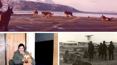 Día del Animal: héroes de cuatro patas y un legado que inspira