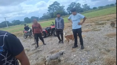 Mató a una perra y fue condenado a dos años de prisión