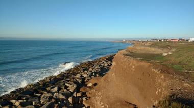 Hallaron restos fósiles de un Gliptodonte que vivió hace millones de años en una playa de Mar del Plata