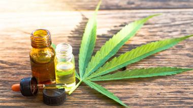 El Gobierno legalizó el autocultivo de Cannabis con fines medicinales
