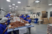 Suben a 96 las muertes por fentanilo contaminado y se amplía la investigación