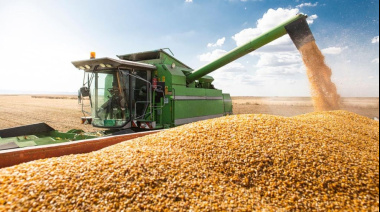 Marcha atrás con la reducción de retenciones: en el campo crece el malestar con el Gobierno