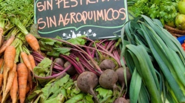 Llega la primera feria agroecológica a la ciudad