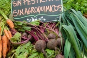 Llega la primera feria agroecológica a la ciudad
