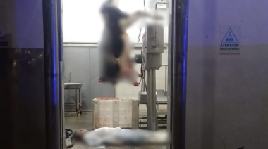 Conmoción: falleció un trabajador en el Frigorífico de Gorina