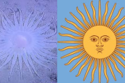 El “Sol de Mayo marino”: el descubrimiento viral que coronó la expedición científica argentina