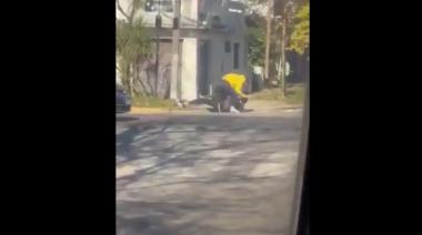 Brutales peleas callejeras en La Plata y Merlo encendieron las alarmas