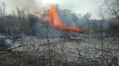Incendio devastador afecta campos, árboles y quinta histórica en Lisandro Olmos