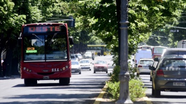 El 11M el transporte será gratis para mujeres en La Plata, Berisso y Ensenada