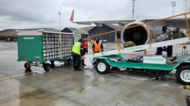 Autorizan a fuerzas de seguridad a cubrir servicios de rampa en aeropuertos