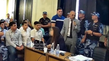 Tomei planteó que se consideren las figuras de "homicidio simple con dolo eventual" o de "homicidio preterintencional"