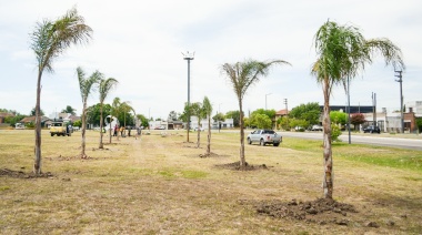 Se colocaron palmeras en el distribuidor de Tolosa para favorecer la absorción de agua de lluvia