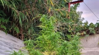 Berisso: detenidos por vender drogas desde su domicilio
