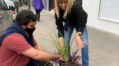 La Plata: la Cámara Comercial del Centro está cada vez mas linda