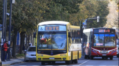 Aumenta el boleto de colectivo en La Plata: cómo participar de la consulta ciudadana