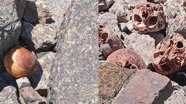 Encuentran 17 cráneos humanos en la ribera y abren una investigación