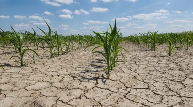La Municipalidad otorgará beneficios fiscales a productores afectados por la sequía