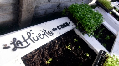 “La Huerta de Casa”: ya fueron instalados 300 espacios de cultivo en La Plata