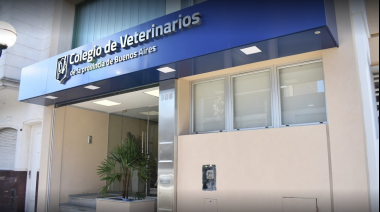 El CVPBA cataloga como un hecho en contra de la Salud Pública la aprobación de castraciones gratuitas en La Plata