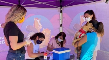 Llega la atención, vacunación y desparasitación gratuita de perros y gatos a El Peligro