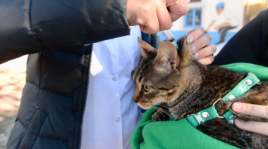 Habrá vacunación veterinaria gratuita en Olmos, Ringuelet y Altos de San Lorenzo