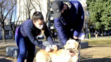 Amplían el cronograma de vacunación antirrábica gratuita en La Plata