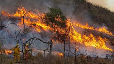 Por los incendios forestales, el Gobierno declara la “emergencia ígnea”