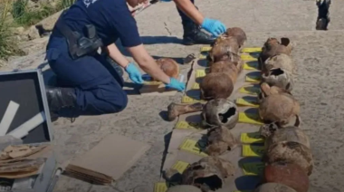 Descubren 38 cráneos en una vivienda y buscan a una presunta hechicera