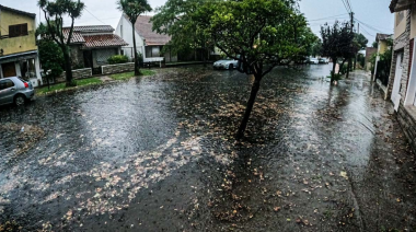 La tormenta en La Plata dejó cortes de luz, calles anegadas y caída de árboles