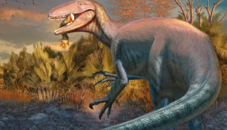 Descubren en Argentina un nuevo megarraptórido, uno de los últimos dinosaurios en habitar la Tierra