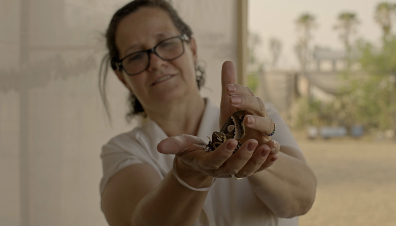 Estrenan el documental "No abras lo ojos y tendrás mi piel" en el 3° Festival Internacional de Cine de la Provincia de Buenos Aires